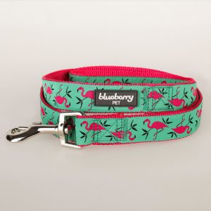 Blueberry Flamingo Designer Dog Collar and Leash with Optional Set - Leash, XS